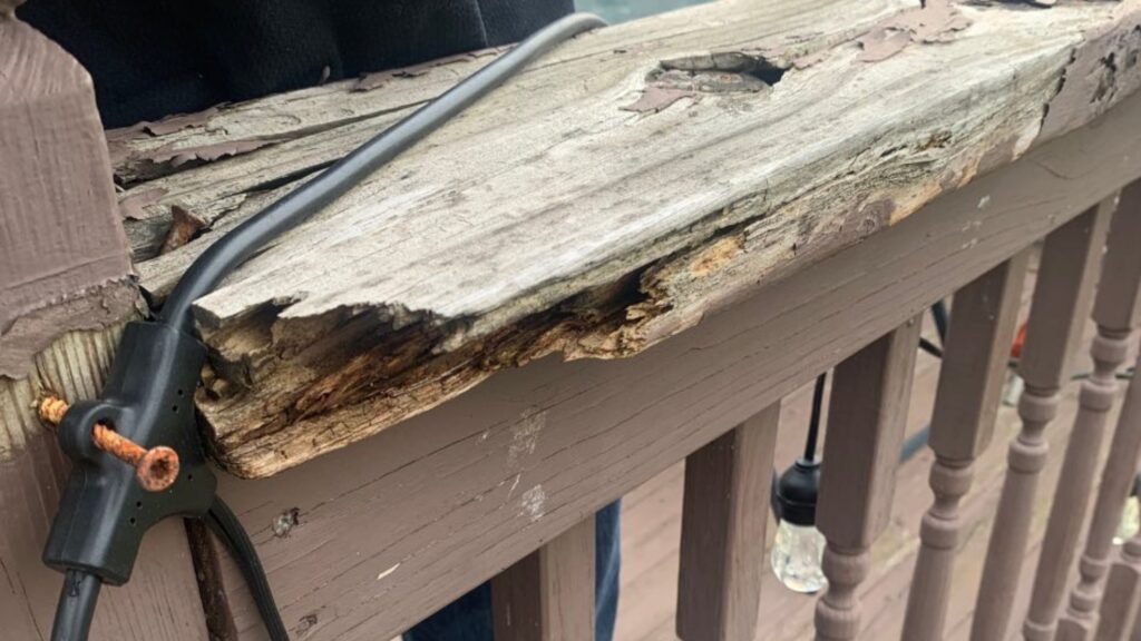 inspection001 calgary